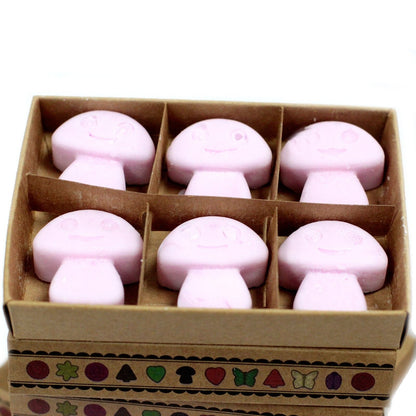 Soy & Palm Wax Luxury Melts Gift Set – Ylang Ylang, set de melts de cera en caja regalo con 6 piezas color rosa