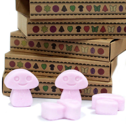 Soy & Palm Wax Luxury Melts Gift Set – Ylang Ylang, wax melts set with pastel pink shapes and gift boxes
