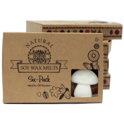 Soy & Palm Wax Luxury Melts – White Musk Gift Set natural wax melts six-pack gift box for oil burners
