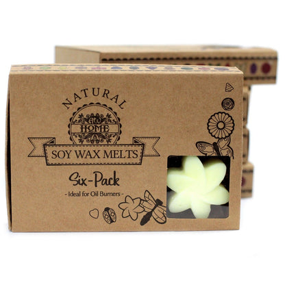 Set de regalo de wax melts de cera de soja y palma – Lemon Harvest: set de ceras aromáticas naturales en caja kraft, seis piezas para quemador de aceite