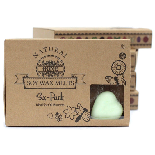 Alt Tag: Soy and Palm Wax Melts – Watermelon Fresh Set of 6 caja regalo con seis wax melts naturales de soja y palma, aroma sandía fresca