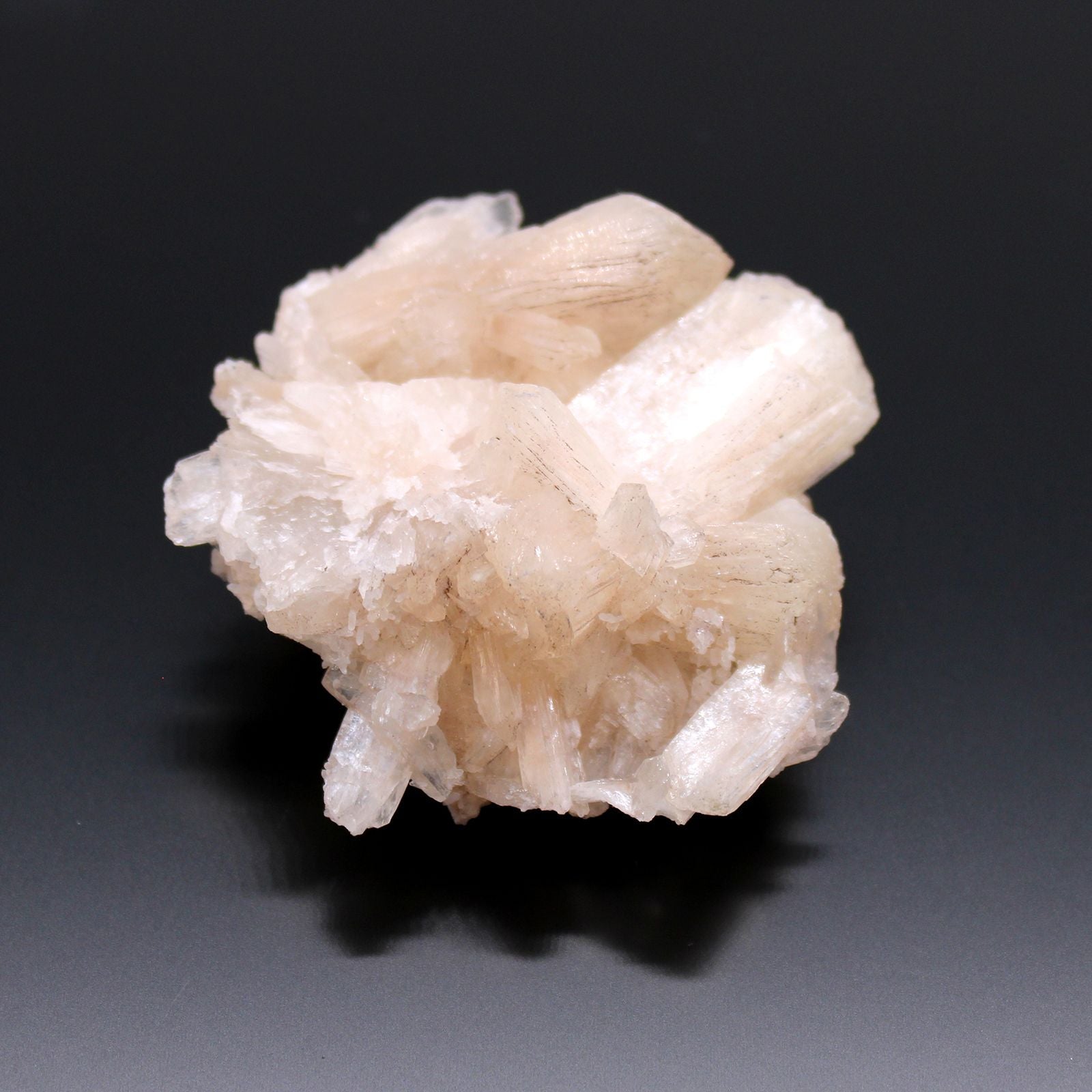 Stilbite & Apophyllite Specimen – 20–30 MM, cluster de cristales blancos sobre fondo oscuro