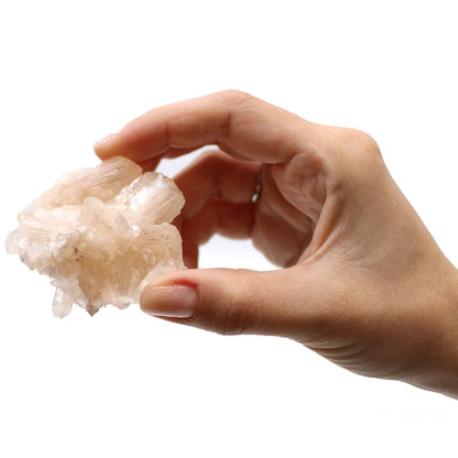 Stilbite & Apophyllite Specimen – 20–30 MM held in hand, natural crystal cluster with pale peach stilbite blades and apophyllite