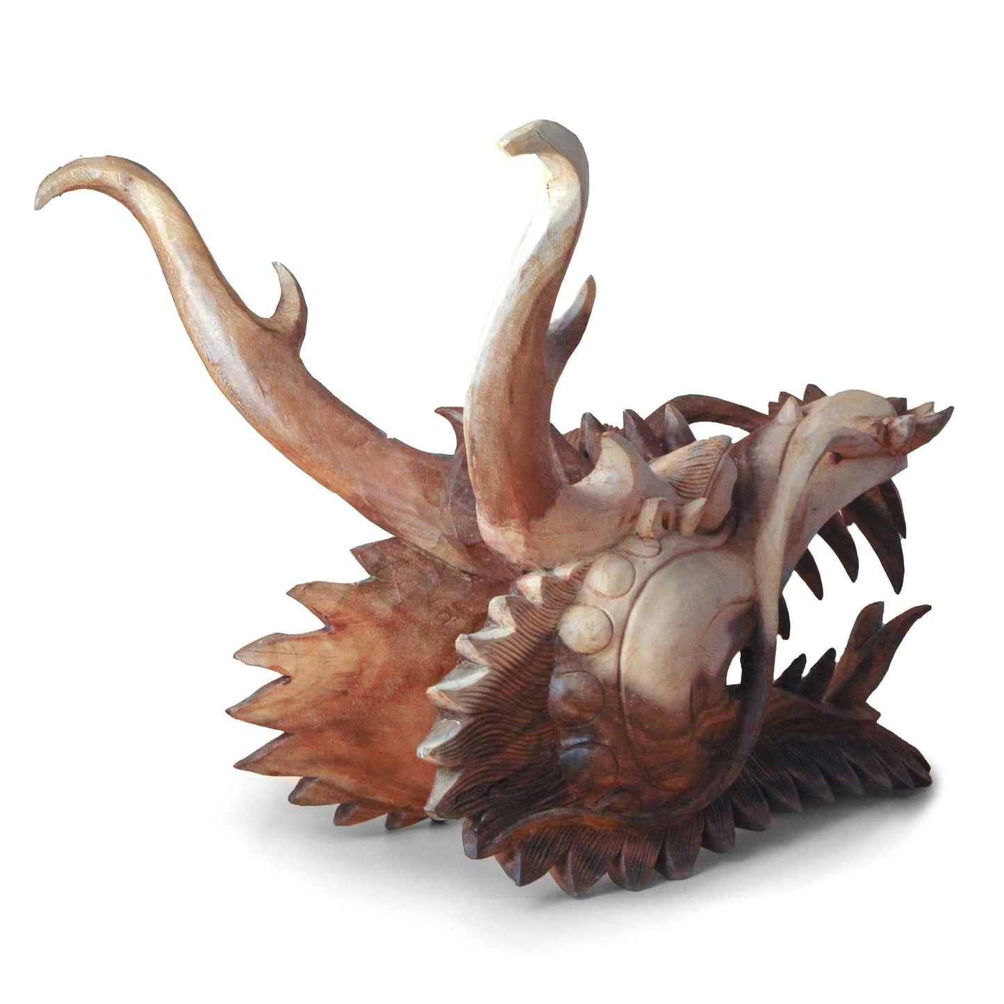 Suar Wood Dragon Head Panel – 30 CM tallado en madera suar, cabeza de dragón decorativa con detalles de escamas, vista lateral