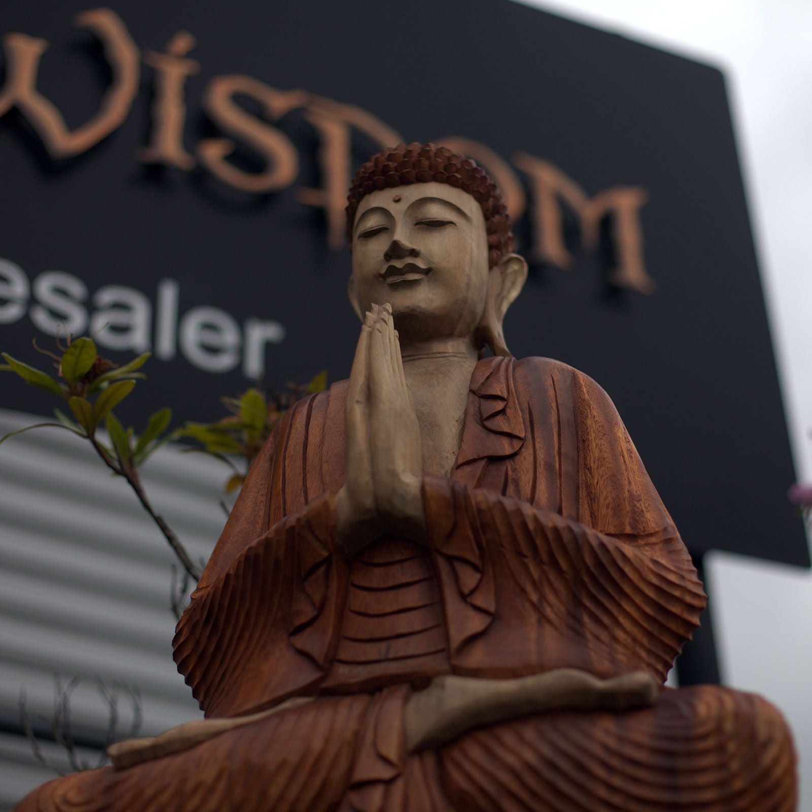 Alt Tag: Handskuren Buddha-staty i suarträ – 80CM i bedjande pose, detaljerat hantverk från Bali, naturlig träådring