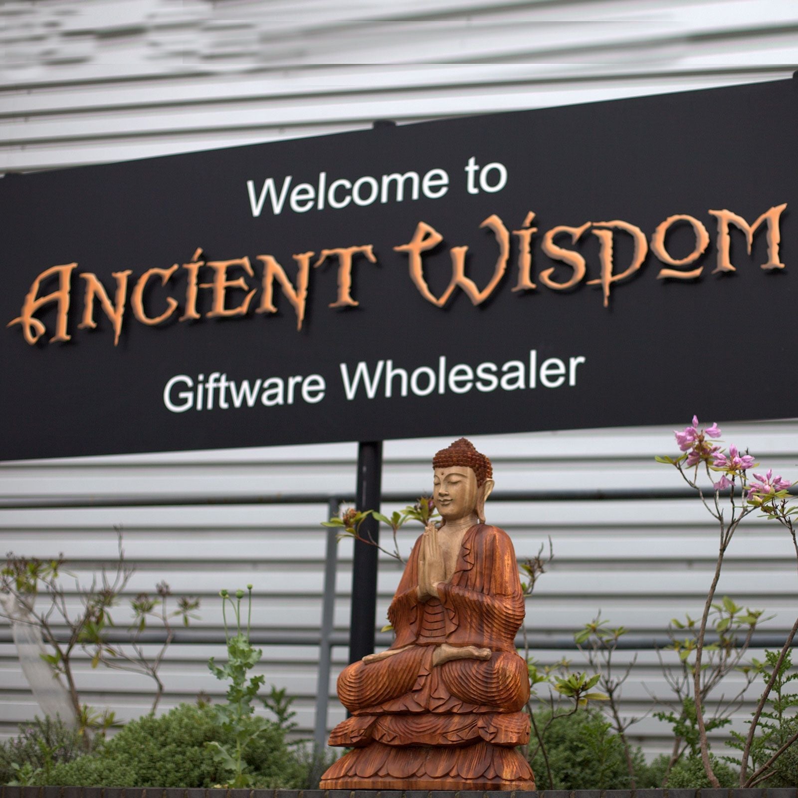 Handskuren Buddhastaty i suarträ – 80CM utställd utomhus framför skylten till presentgrossisten Ancient Wisdom Giftware