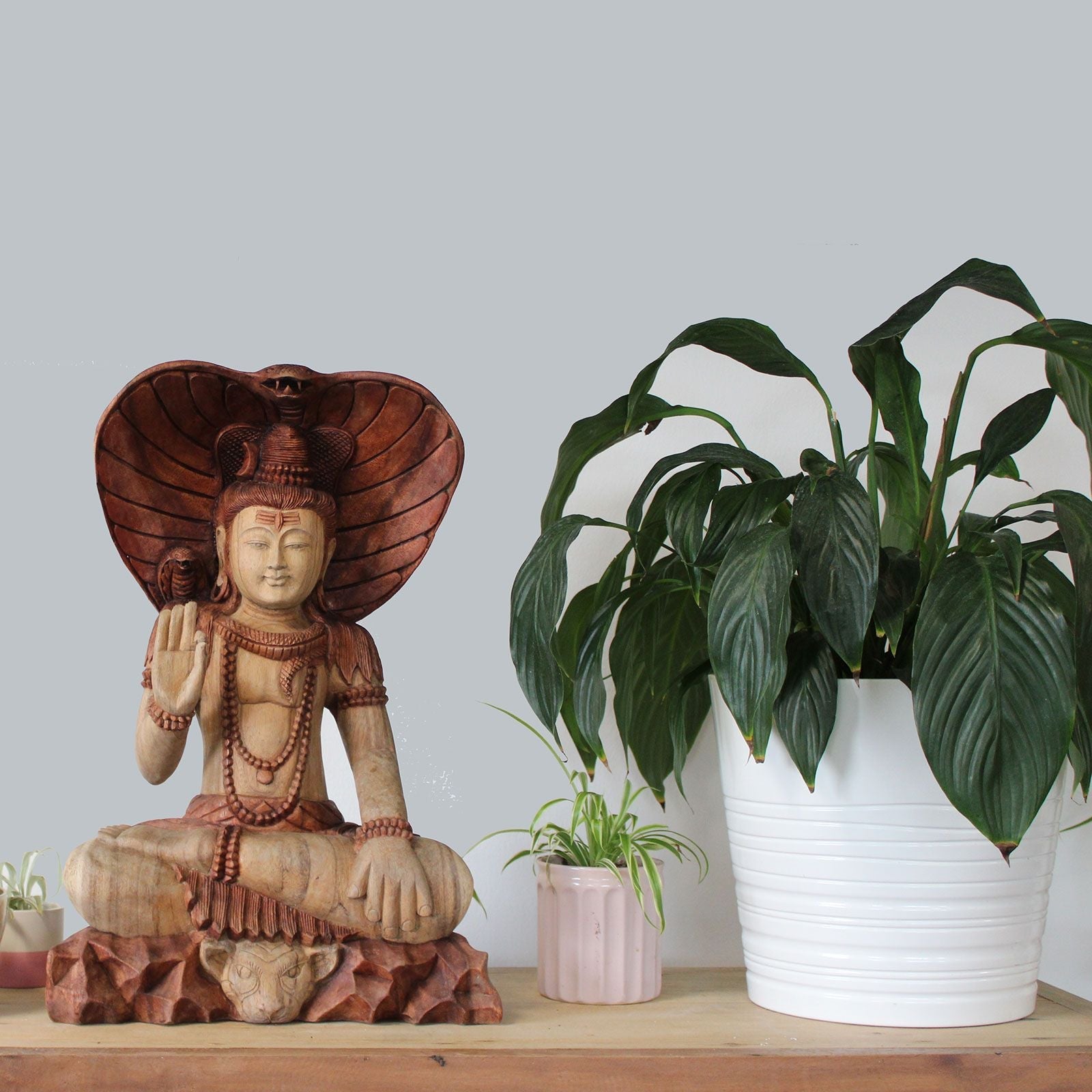 Suarholz-Shiva-Statue – 50CM handgeschnitzte balinesische Shiva-Statue aus Suarholz, sitzend mit erhobener Hand, auf einem Tisch neben einer Topfpflanze präsentiert