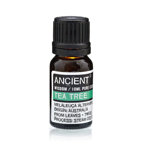 Teebaum ätherisches Öl – 10ML Bernsteinglasflasche mit schwarzem Deckel, Teebaum-Etikett, 10 ml reines ätherisches Öl