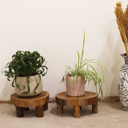Alt Tag: Teak Wood Display Set – 24x10 CM with two round teak stands holding potted plants, compact natural wood decor
