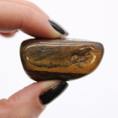 Alt Tag: Variegated Tiger’s Eye Tumble Stones – 6-Piece Set, close-up of polished variegated tiger’s eye stone held between fingers