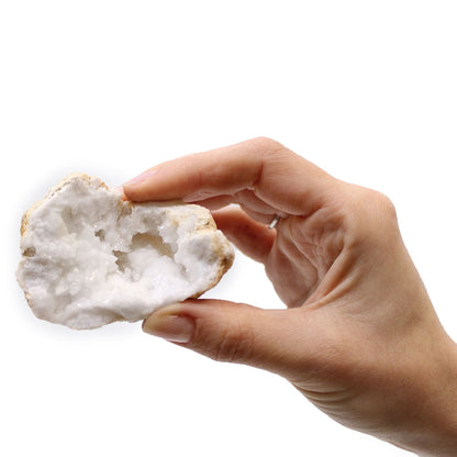 Vibrant Calcite Mineral Specimens – Approx 32 Pieces, mano sosteniendo una geoda blanca de calcita sobre fondo blanco