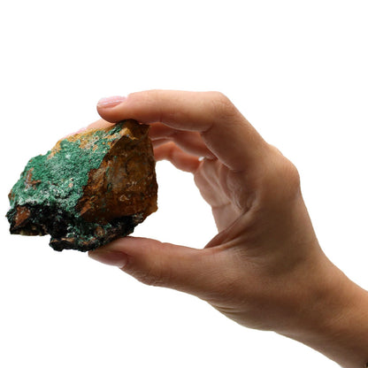 Alt Tag: Vivid Azurite Malachite Specimens – 20 Piece Set mineral sample held in hand, blue-green azurite malachite on brown rock