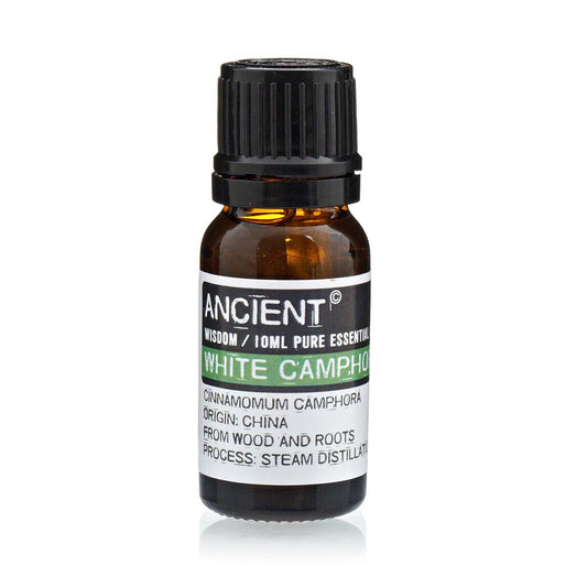 Ätherisches Weißer-Kampfer-Öl – 10-ML-Flasche, reines ätherisches Öl, dampfdestilliert, eukalyptusartig-frisches Aroma