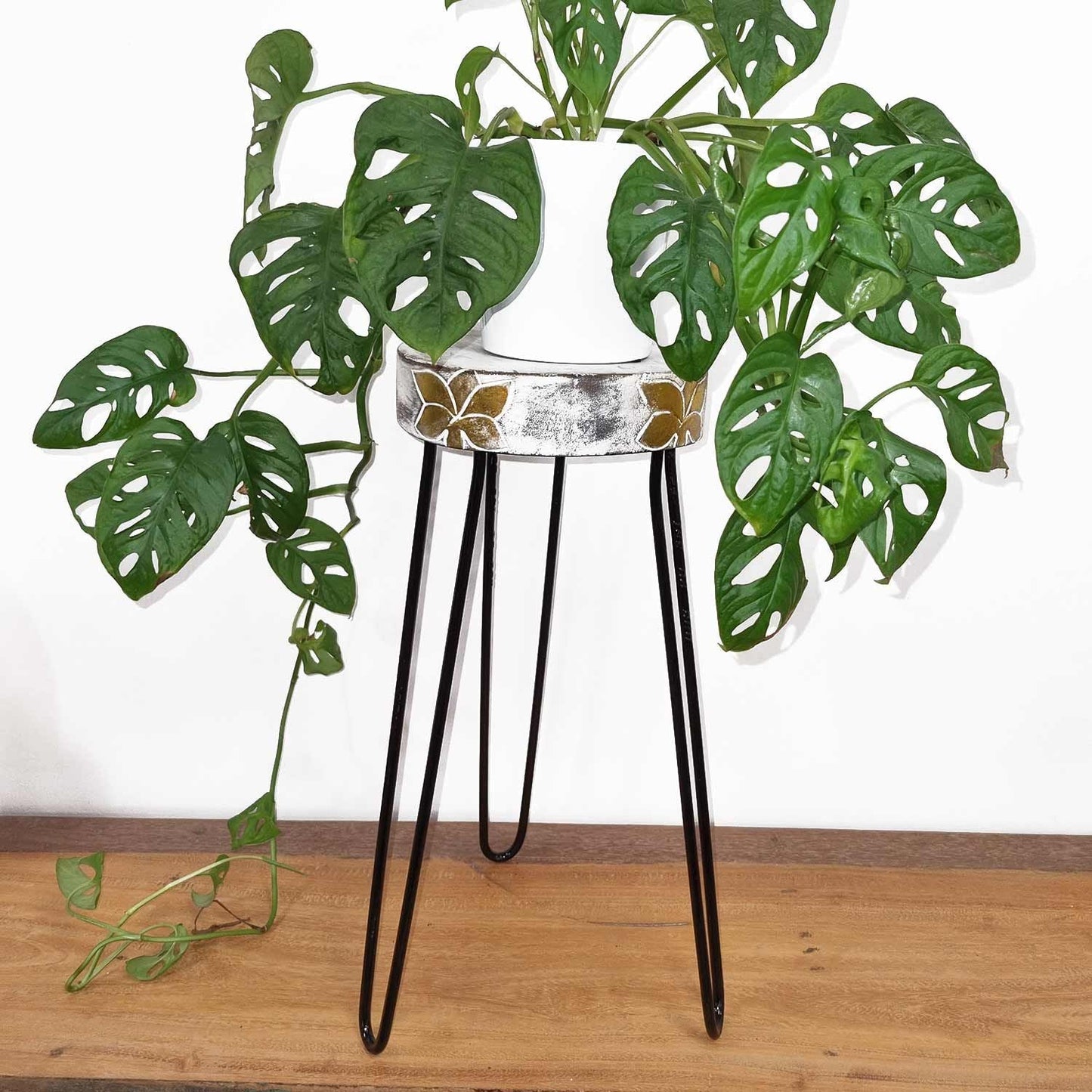 Alt Tag: Whitewash Albasia Wood Plant Stand – 19.5x46 CM with whitewash wood top and black metal legs holding potted plant