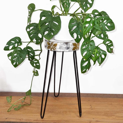 Alt Tag: Whitewash Albasia Wood Plant Stand – 19.5x46 CM with whitewash wood top and black metal legs holding potted plant