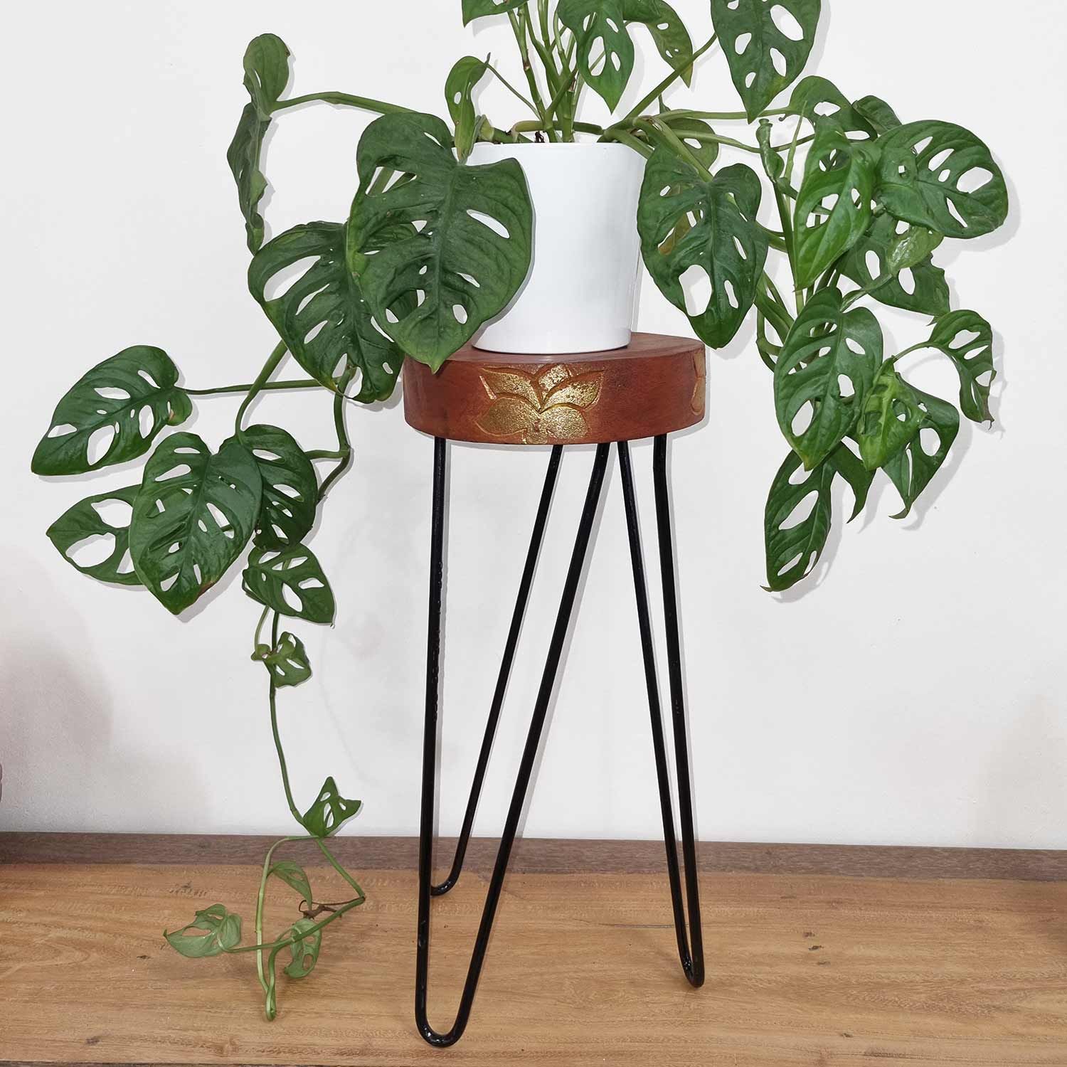 Alt Tag: Whitewash Albasia Wood Plant Stand – 19.5x46 CM with metal legs holding white pot and trailing monstera plant