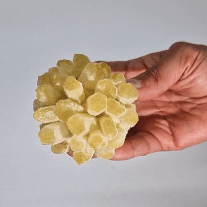 Alt Tag: Yellow Ghost Quartz Cluster – 300G 8CM natural quartz cluster with yellow crystal points, held in hand, approx 8 cm